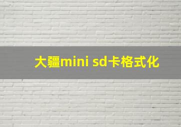 大疆mini sd卡格式化